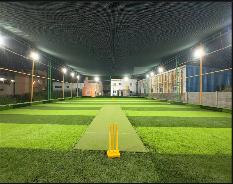 Cricket Turf